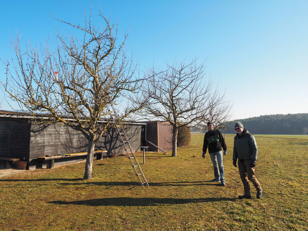 Baumschnitt im Februar